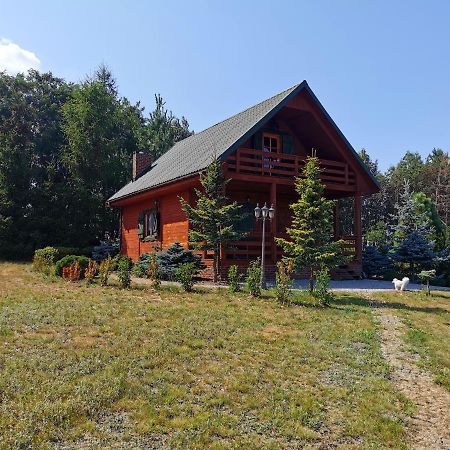 Domek Na Wsi Nad Jeziorem , Prywatny Staw Kamienczyk Dezerta 外观 照片
