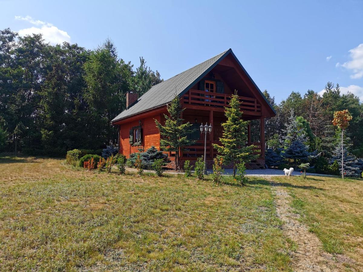 Domek Na Wsi Nad Jeziorem , Prywatny Staw Kamienczyk Dezerta 外观 照片